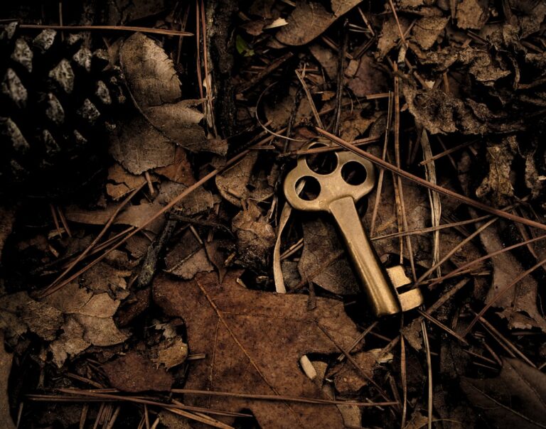Photo Hidden treasure