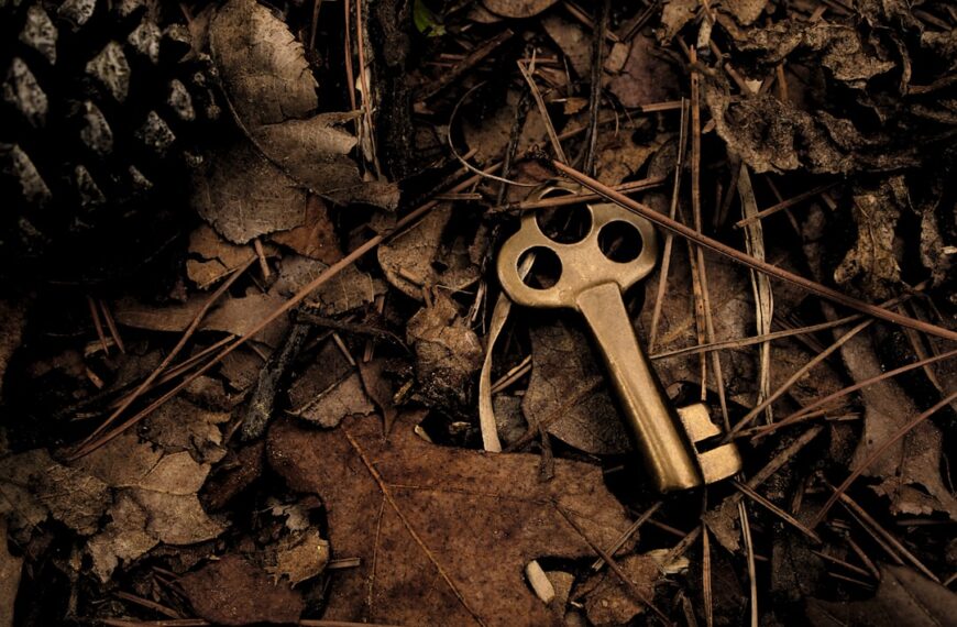 Photo Hidden treasure