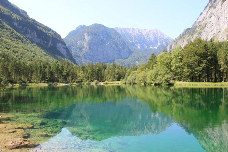 Photo Scenic view